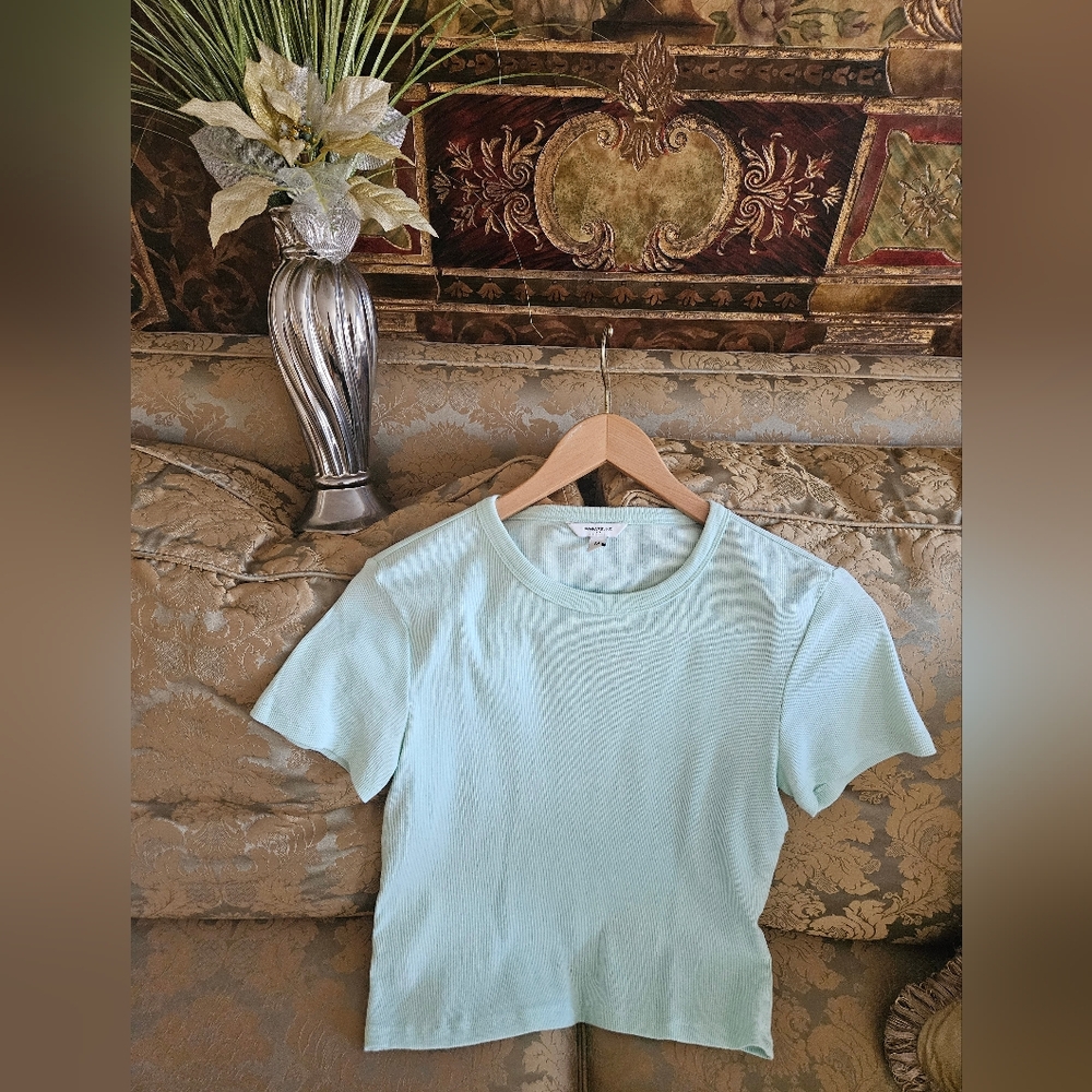 NWOT Banana Republic  Short Sleeve Tee In Pistachio